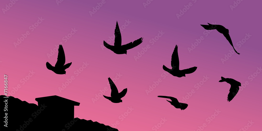 Vector silhouettes of pigeons flying over the roof