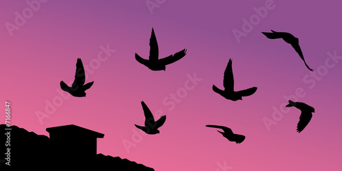 Fototapeta Naklejka Na Ścianę i Meble -  Vector silhouettes of pigeons flying over the roof