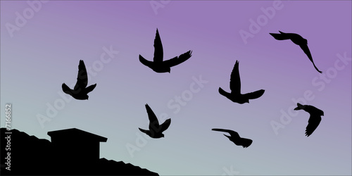 Vector silhouettes of pigeons flying over the roof