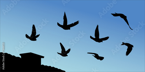 Vector silhouettes of pigeons flying over the roof