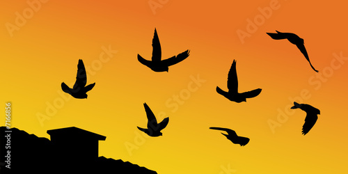 Vector silhouettes of pigeons flying over the roof