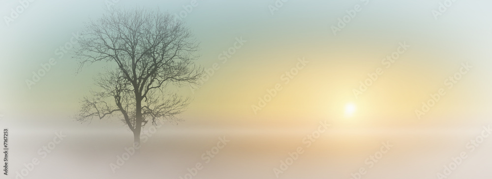Misty Sunrise Misty Sunrise