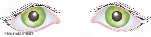 olhos