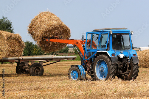 Canvas Print Haymaking