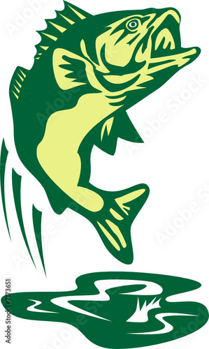 Largemouth bass jumping