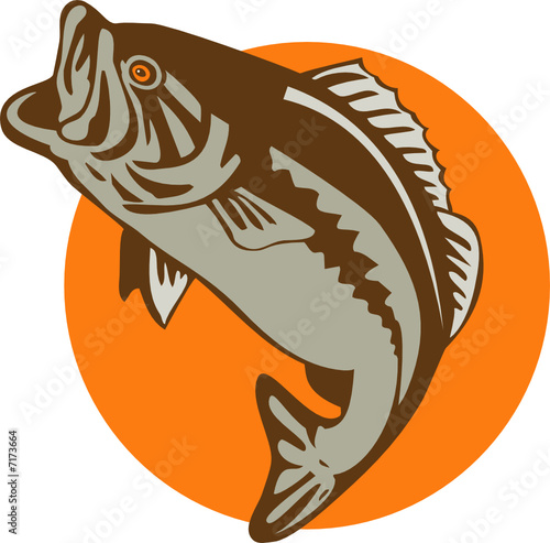 Largemouth bass jumping
