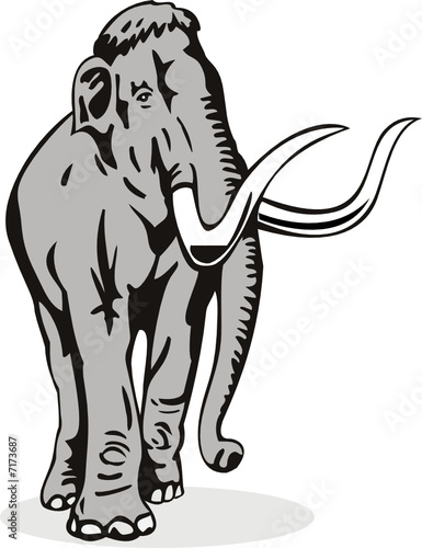 Mammoth isolated on white