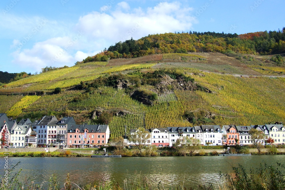 Obraz premium Zell an der Mosel
