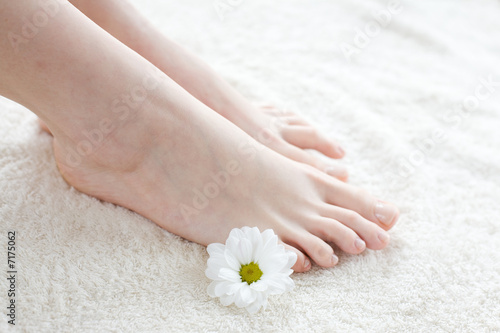 Female feet with daisy