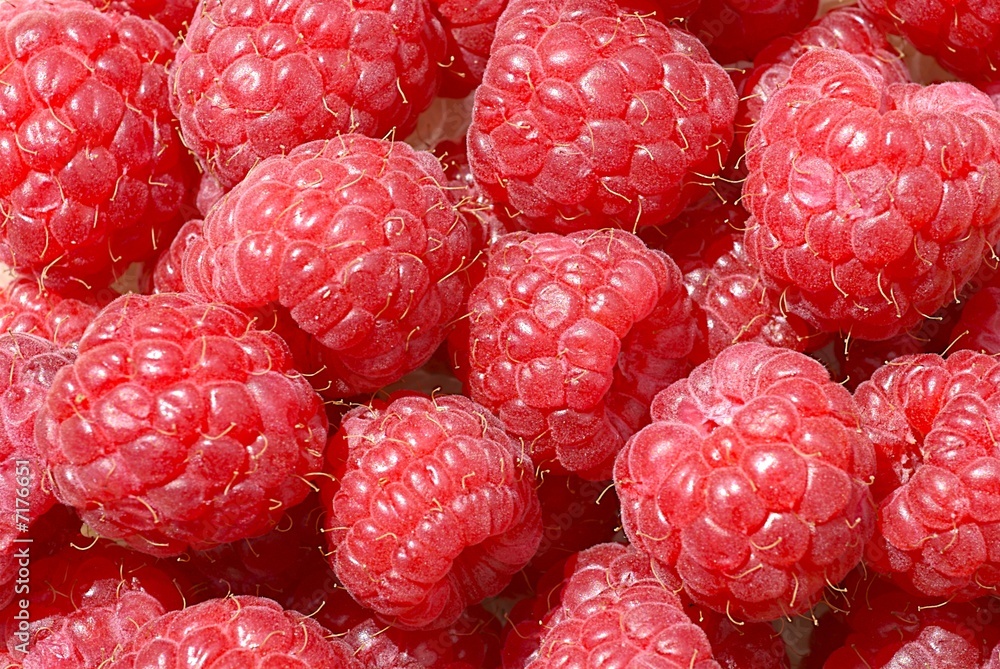 framboises framboises