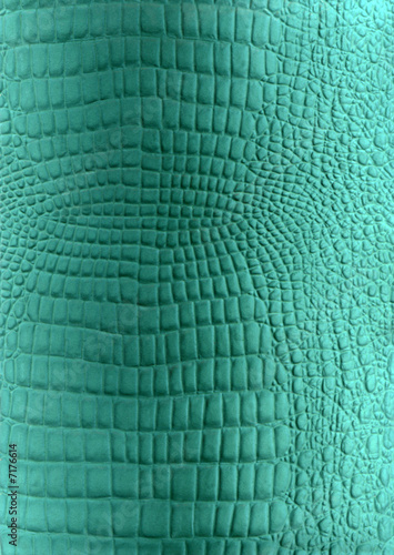 Green reptile leather imitation texture © Ragnarocks