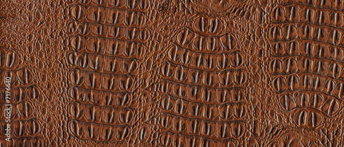 Brown reptile leather imitation texture