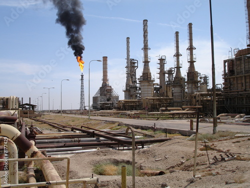 oil plant photo