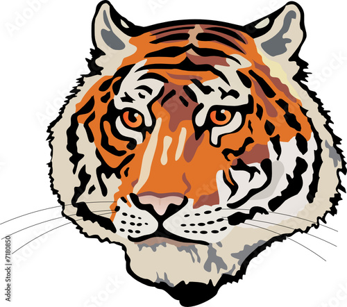 tiger head