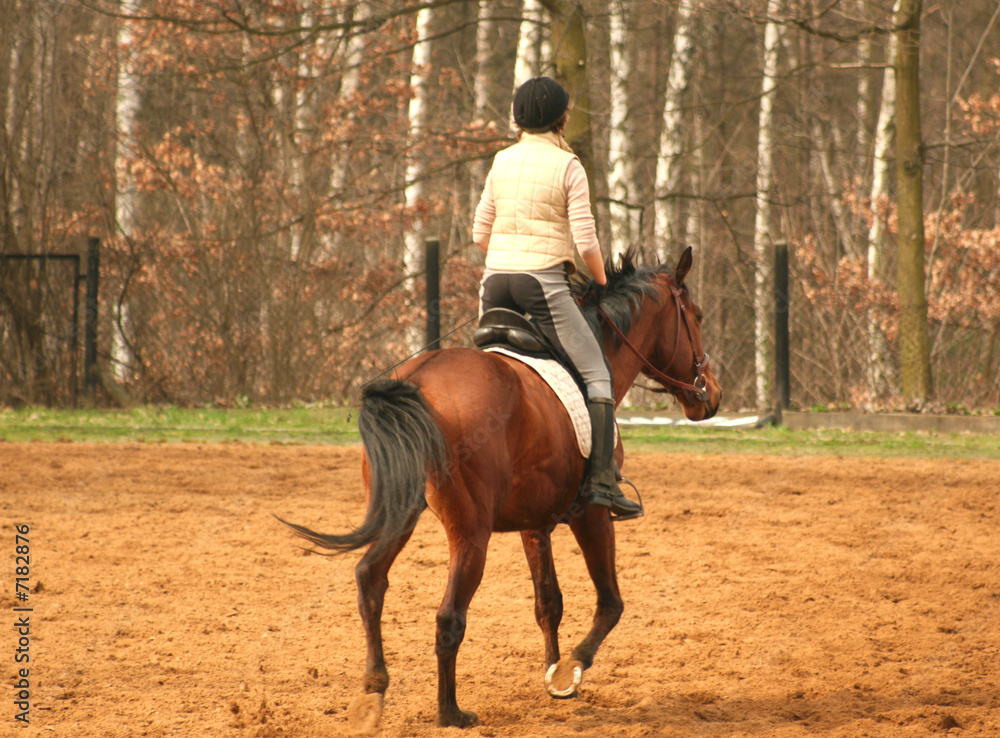 Young woman riding a horse