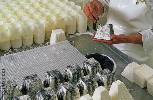 FABRICATION DU FROMAGE DE CHÈVRE