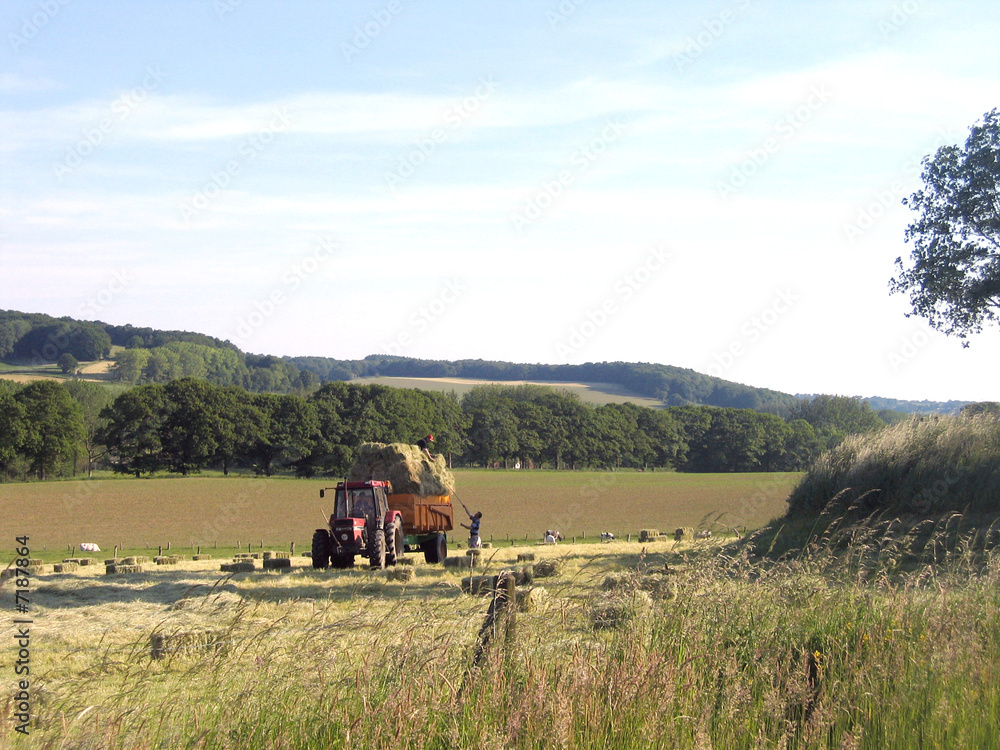 Naklejka premium Heuernte