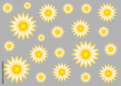 Blume, Blätter, Blüte