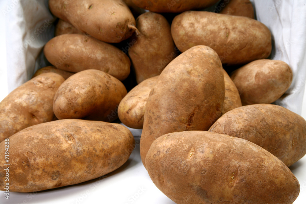 Jumbo Russet Potatoes Jumbo Russet Potatoes