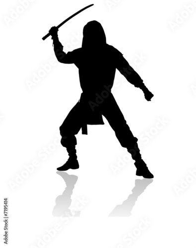 Ninja silhouette kämpfer