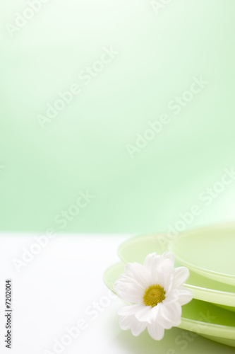 green plates / copyspace
