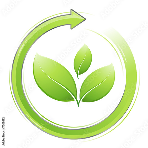 concept recyclage - feuilles