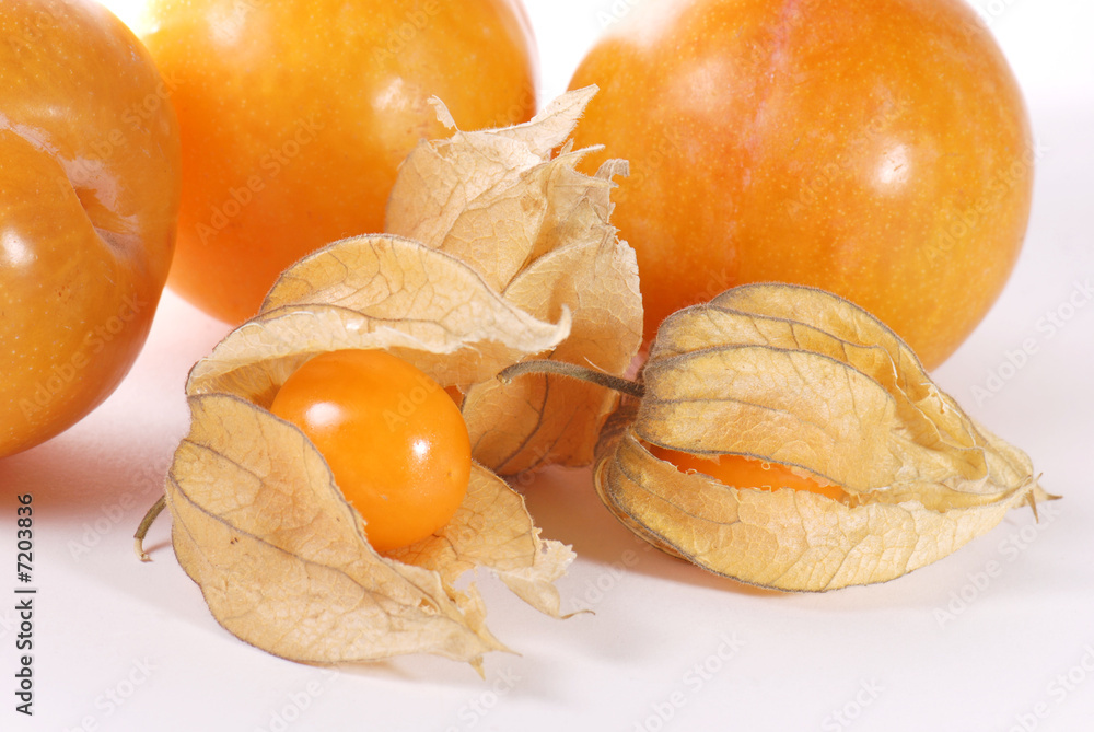 Physalis and plums on white background Physalis and plums on white background