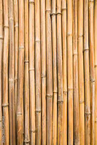 bamboo wall © Stanislav Komogorov