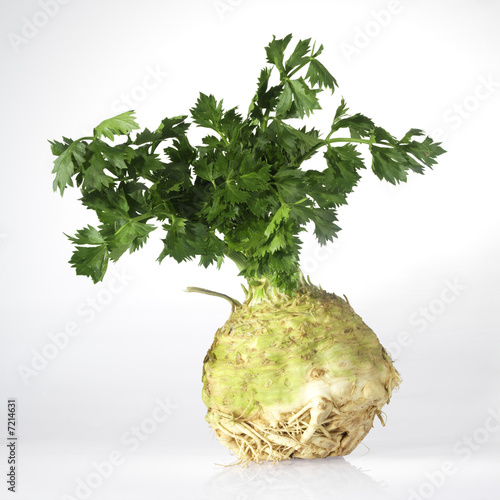 fresh celery with root