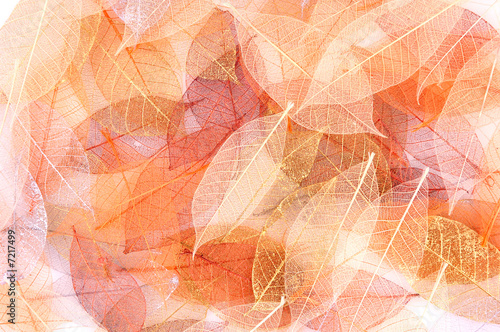 Dry leaf pile