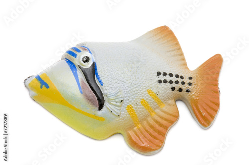 Fish magnet macro