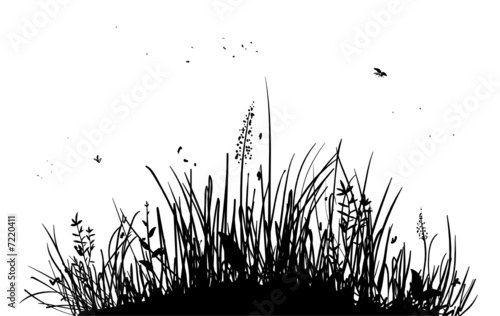 grass