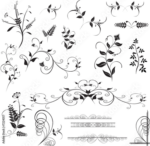 Floral design elements