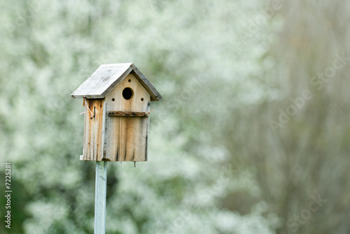 Birdhouse © Ralph Petty