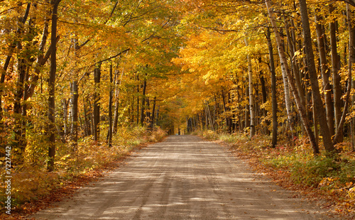 Scenic country roadway in a wooded setting