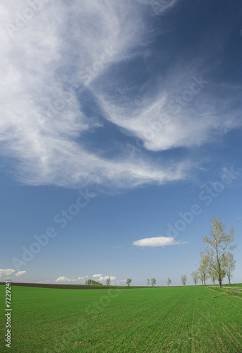 Green field in the spring © NanoStock