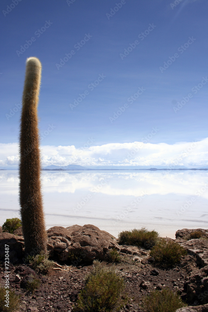Looking over the desolate Bolivian Salt-flats Looking over the desolate Bolivian Salt-flats