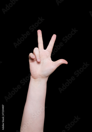 sign language number three
