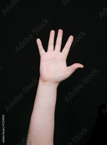 sign language number five © Matthew Antonino