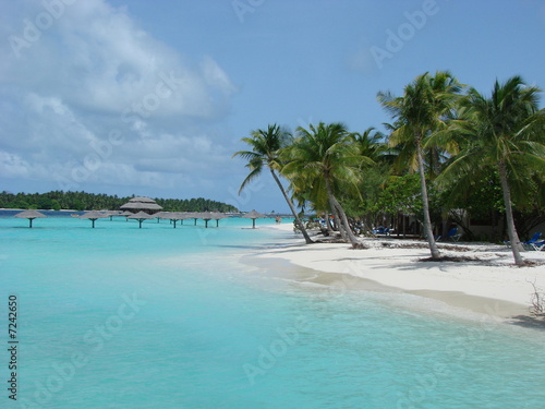 Fototapeta Naklejka Na Ścianę i Meble -  spiaggia maldiviana
