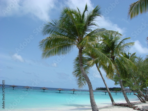 spiaggia maldiviana © viappy