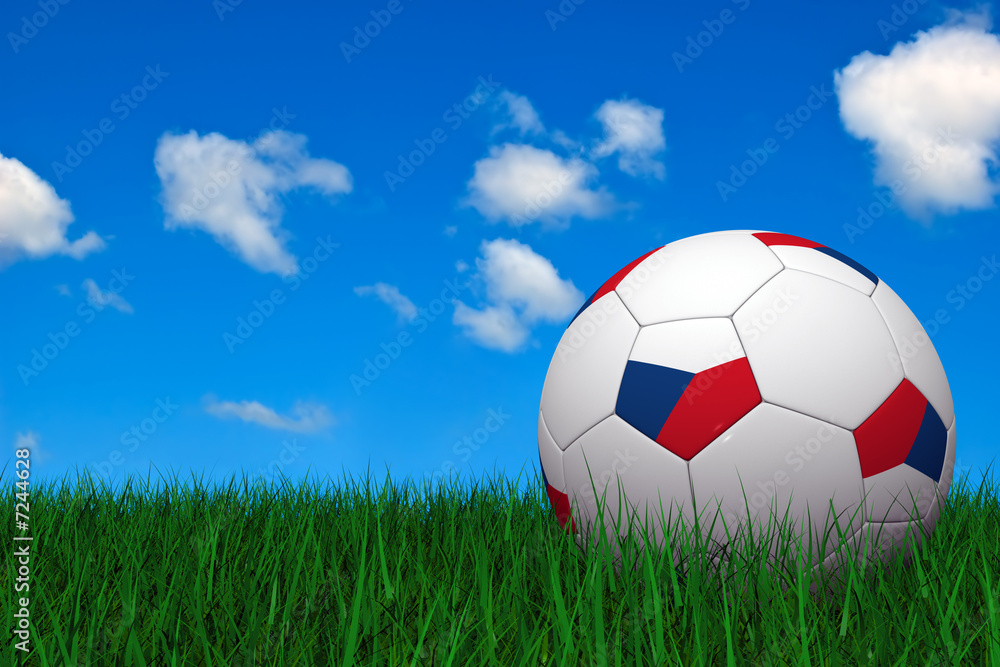 Fototapeta premium Czech soccer ball