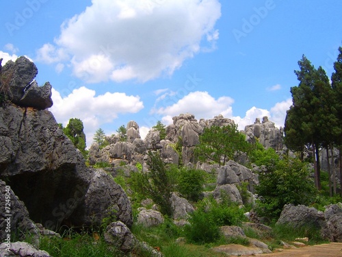 Forêt de pierres à Shilin, Yunnan, Chine