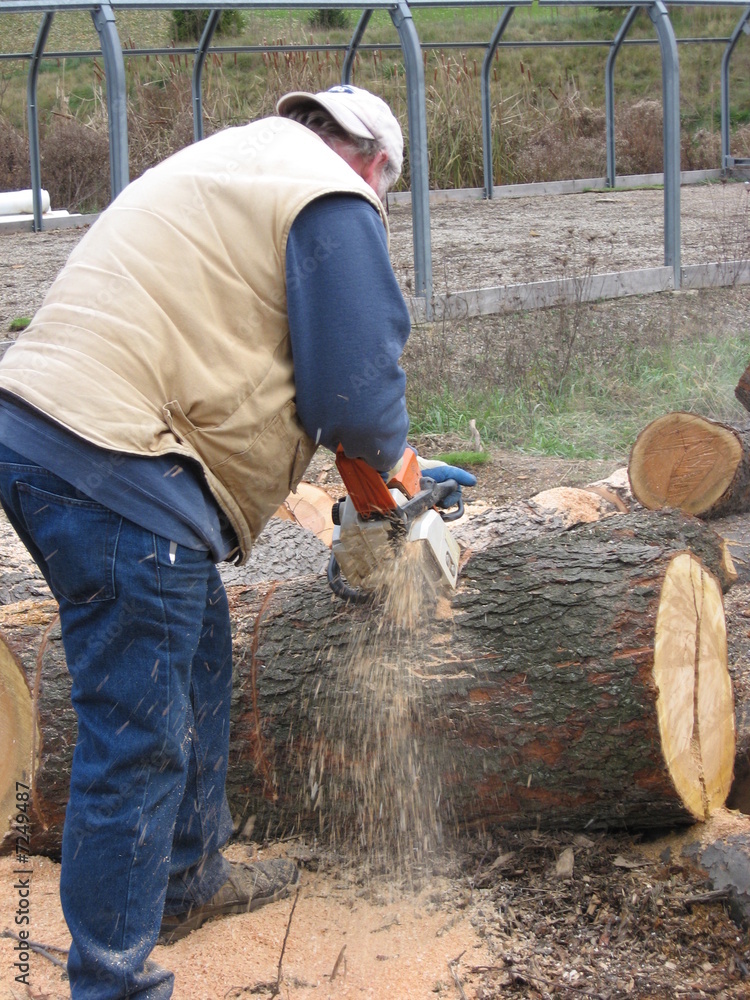 Professional Wood Cutter using Chainsaw to Cut Firewood