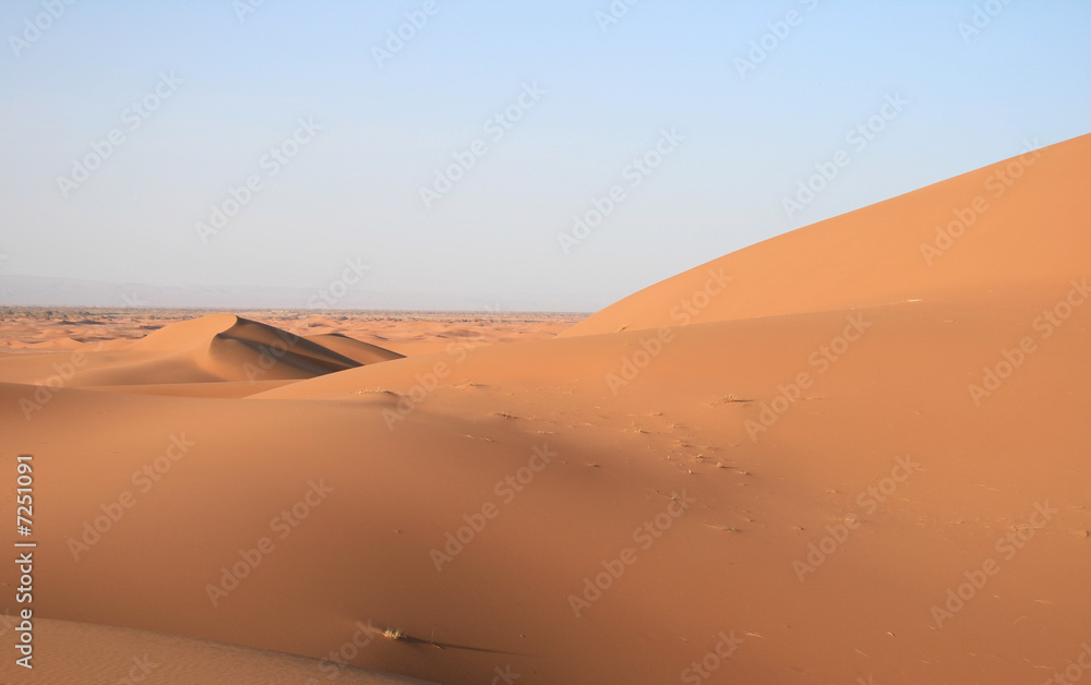Dunes du Sahara, Maroc