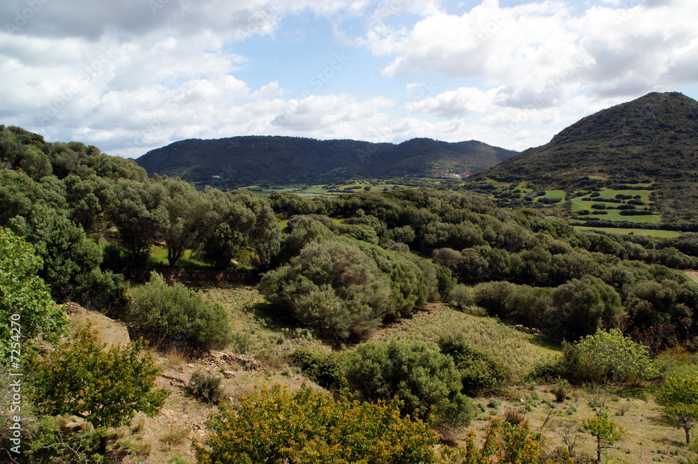 Fototapeta premium Menorca - Islas Baleares - Spain