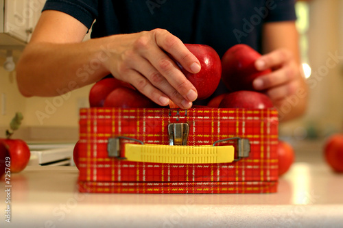 Packing a healthy lunch (Narrow field of focus down middle of pi photo