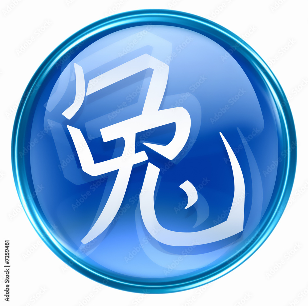 Rabbit Zodiac icon blue, isolated on white background. Rabbit Zodiac icon blue, isolated on white background.