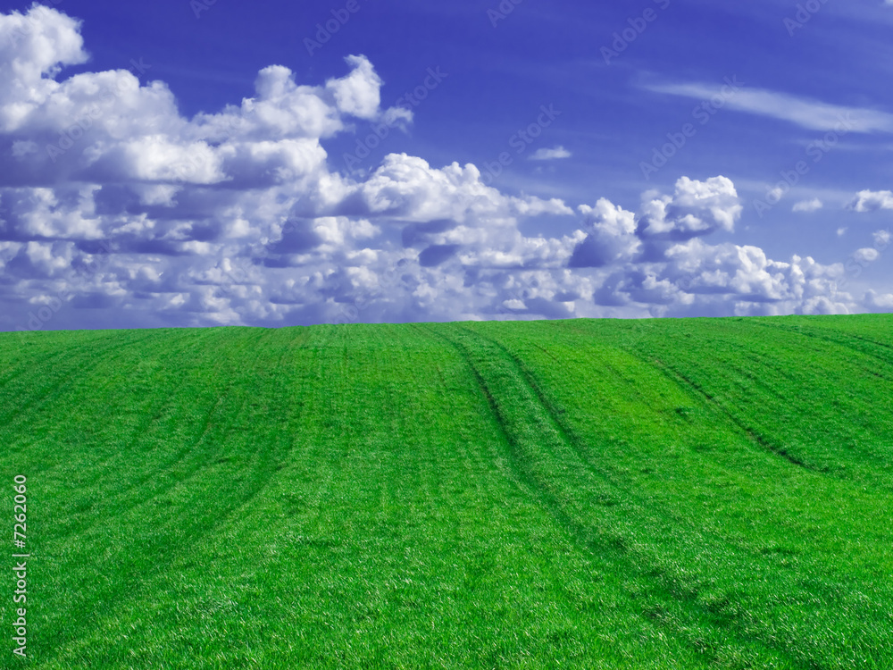 Fields against a cloudy sky