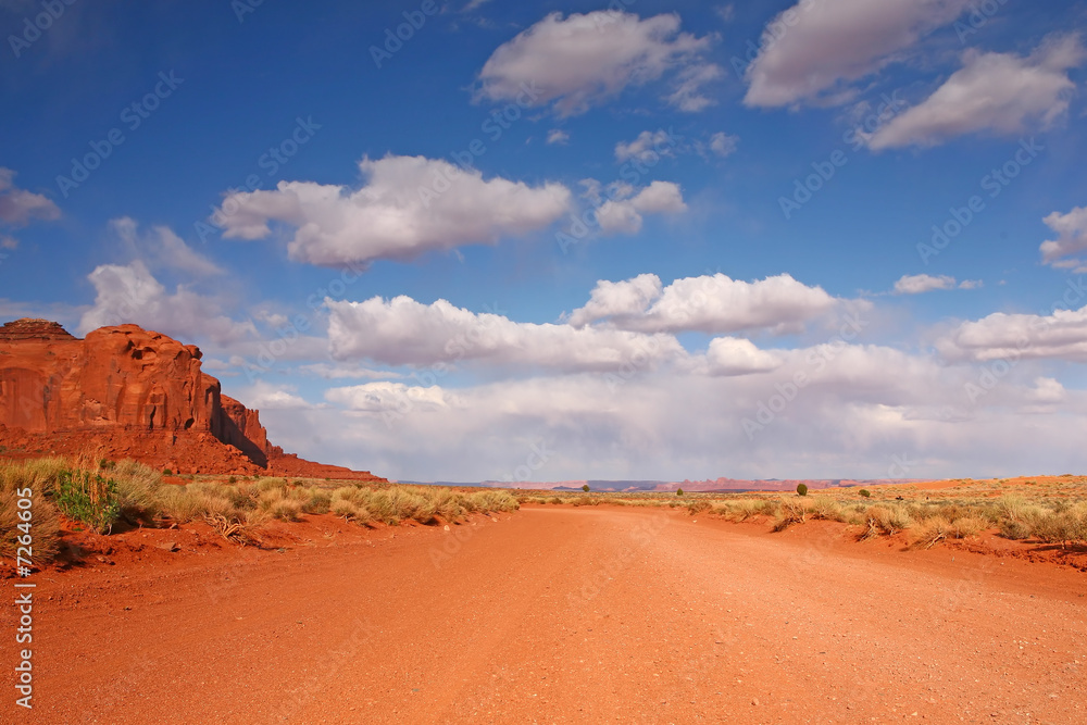 Open Road int he Desert Plain